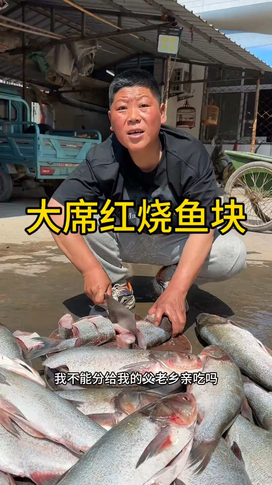 大席红烧鱼块你吃过吗