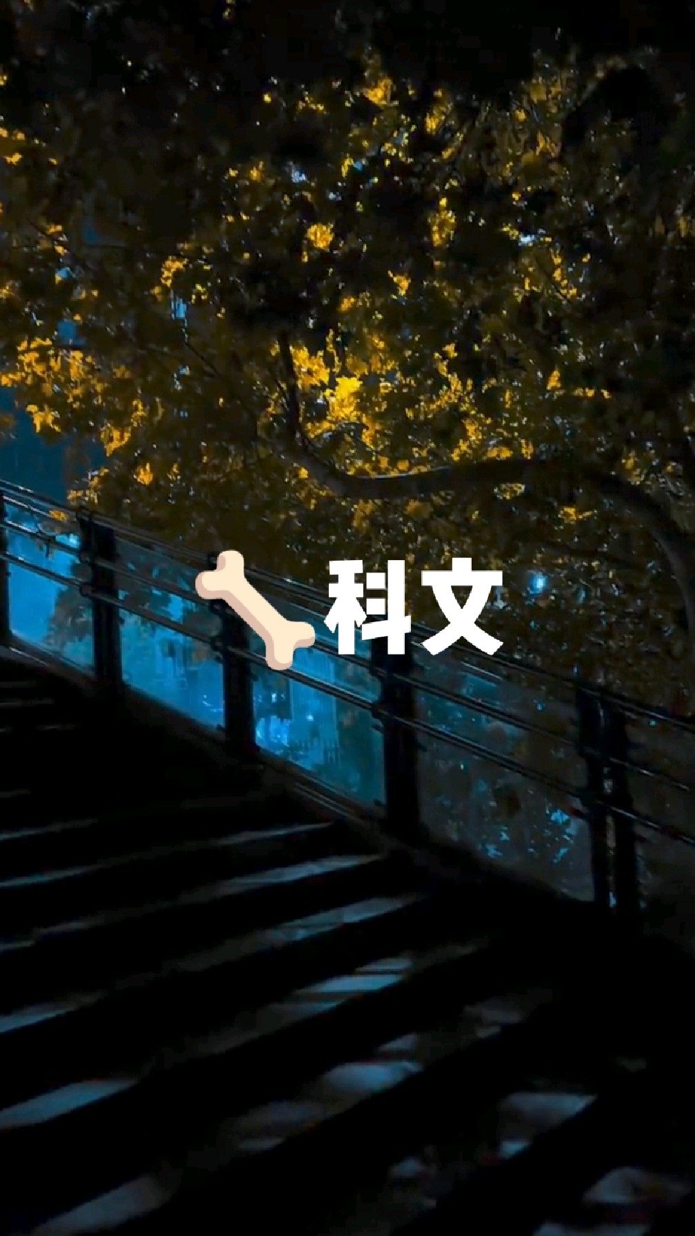 真gu科合集,且看且珍惜吧,这个系列的文真的不多了