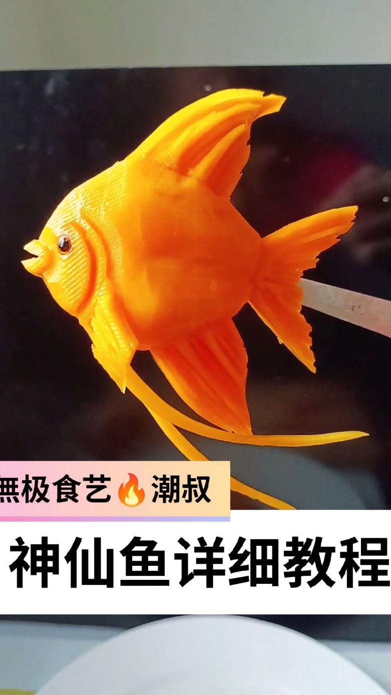 果蔬造型,食品雕刻,基础海鱼,一看就会