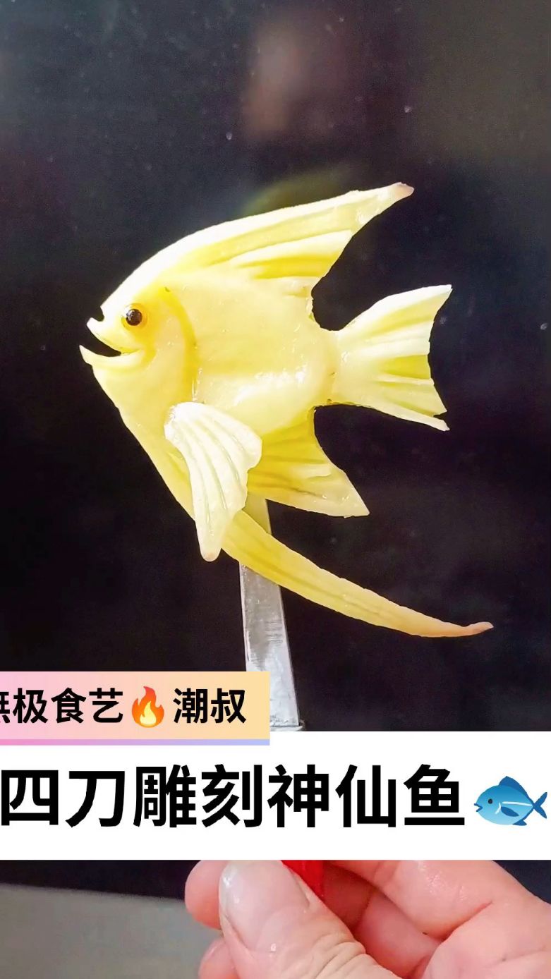 果蔬造型,食品雕刻,基础海鱼,一看就会。
