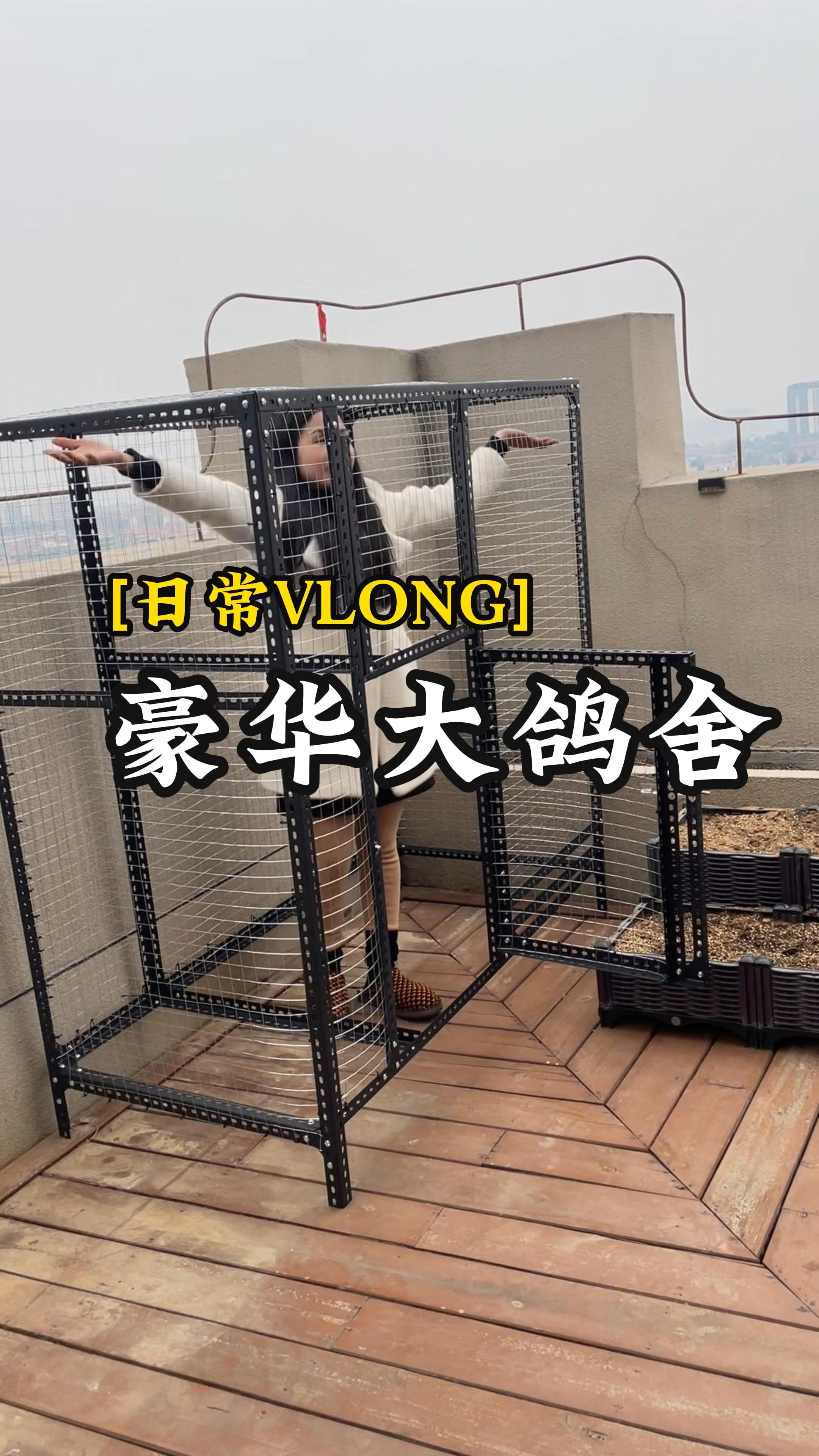 看我自己做的豪华鸽舍