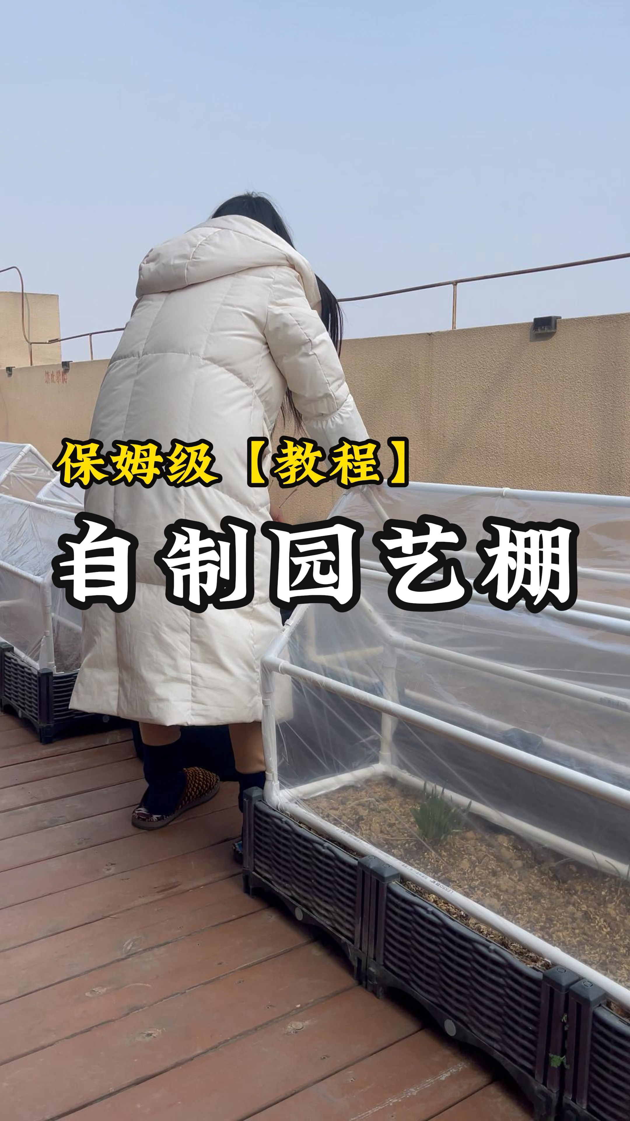 自制种植园艺棚,阳台种菜保暖、防虫、防晒一棚搞定