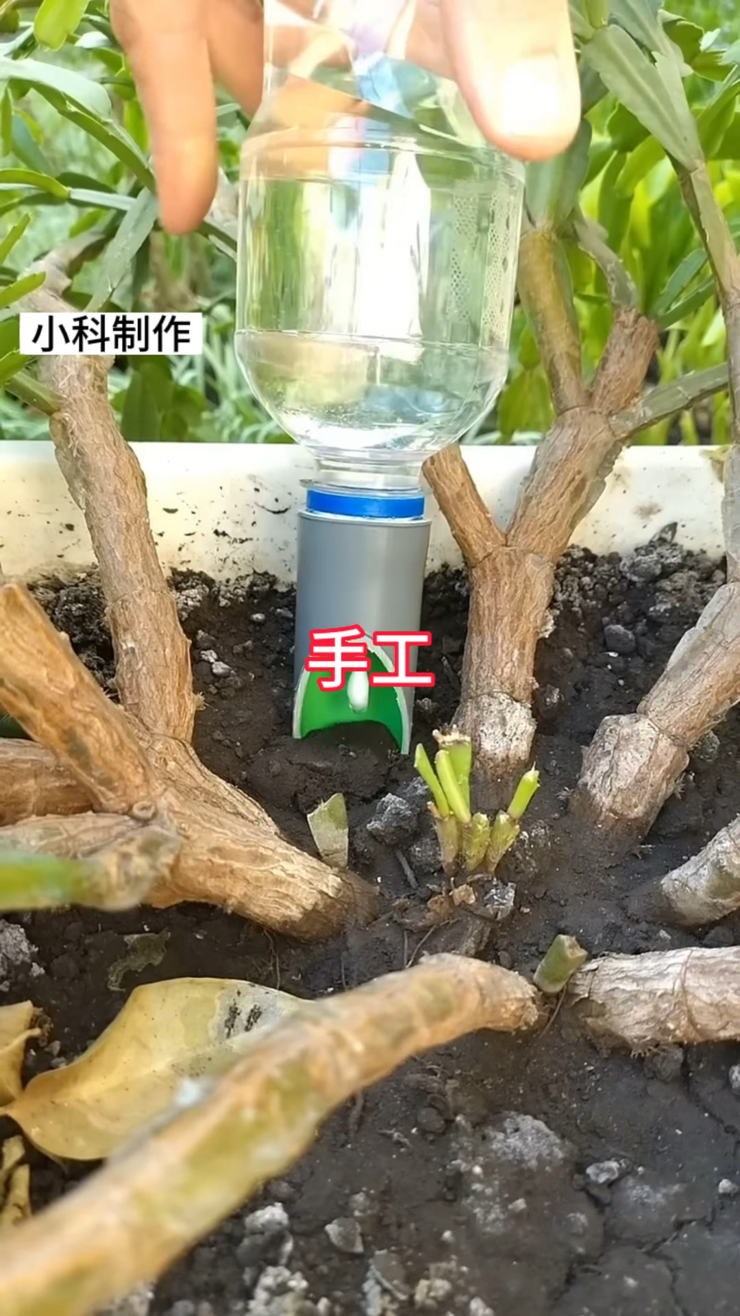 家里有PVC管的,还可以制作一个户外养花瓶子