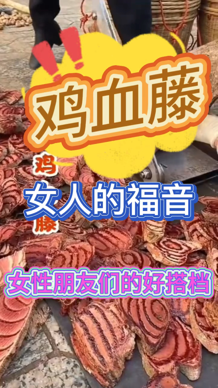 鸡血藤,女性的福音!