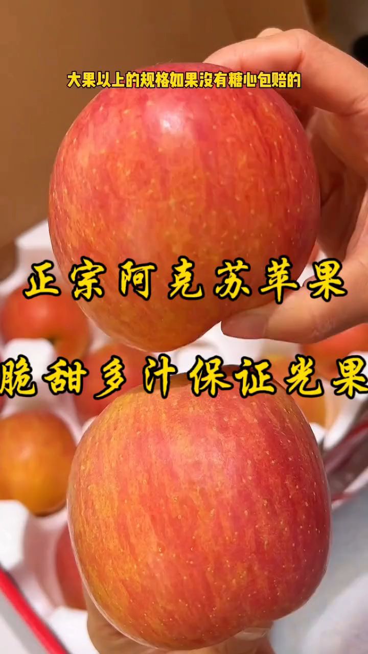 直击新疆阿克苏的果园,看看冰糖心苹果是怎么长大的!