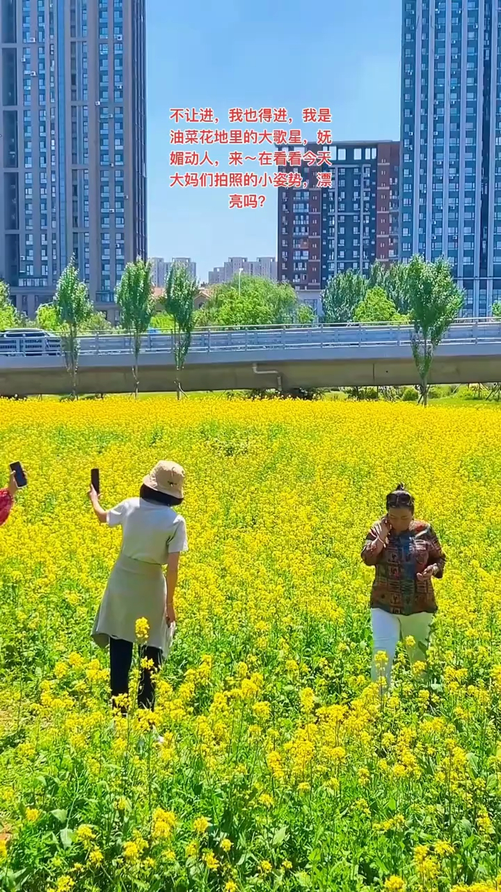 沈阳和平体育公园油菜海太美了吧!文明赏花从你我做起～