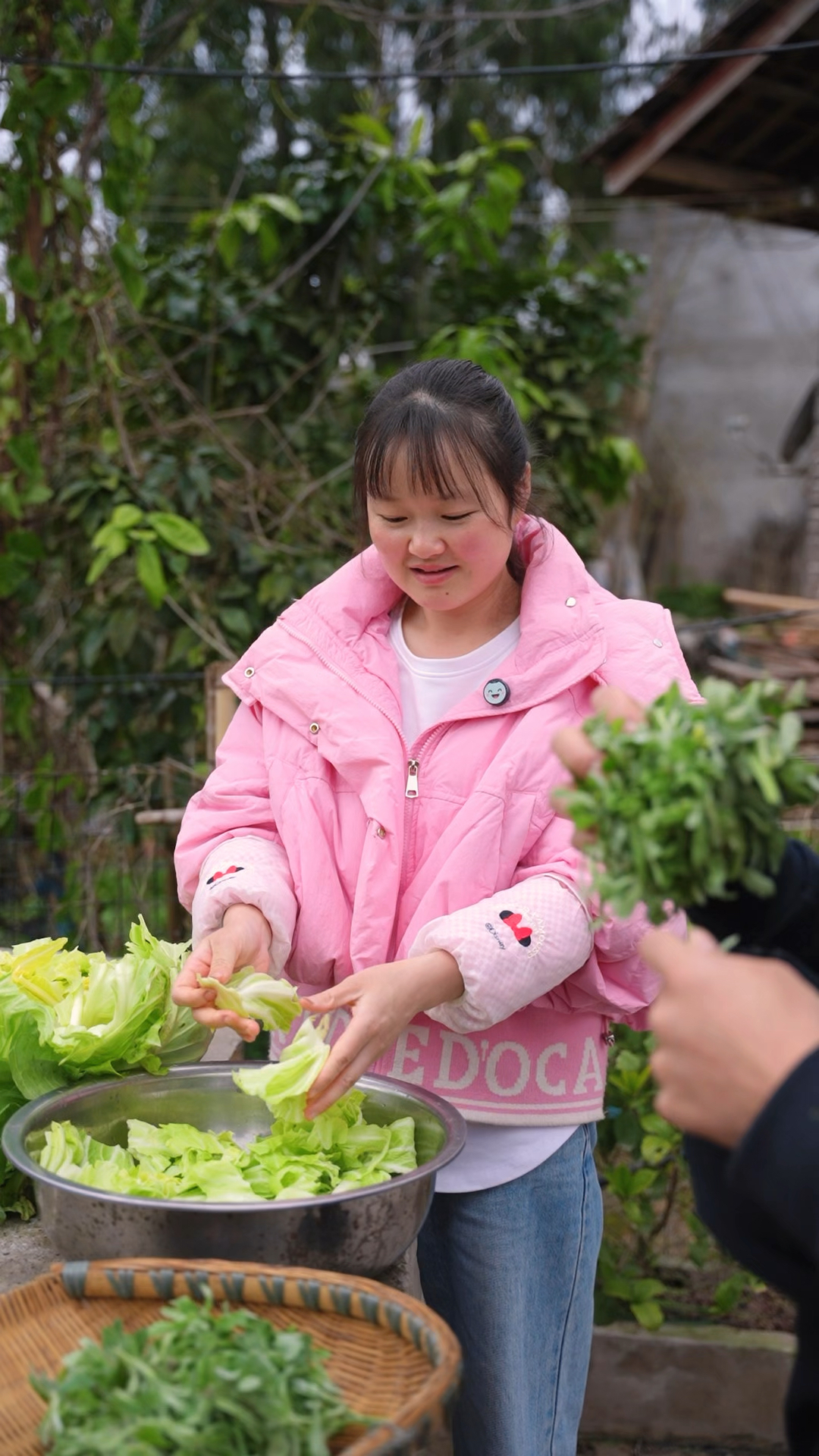 春天总是赋予我们无限的美味,又到吃青团的季节,满满春天的味道