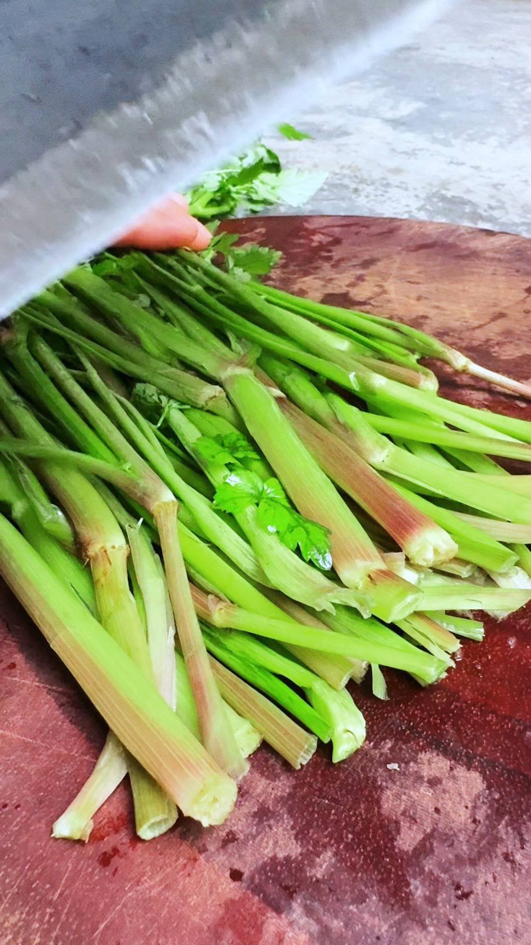 田间地头常见的水芹菜,又名野芹菜,全株均有浓浓的香味