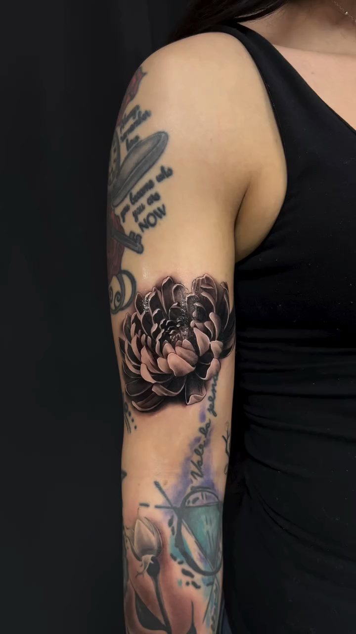 北京纹身/女生手臂写实菊花纹身
