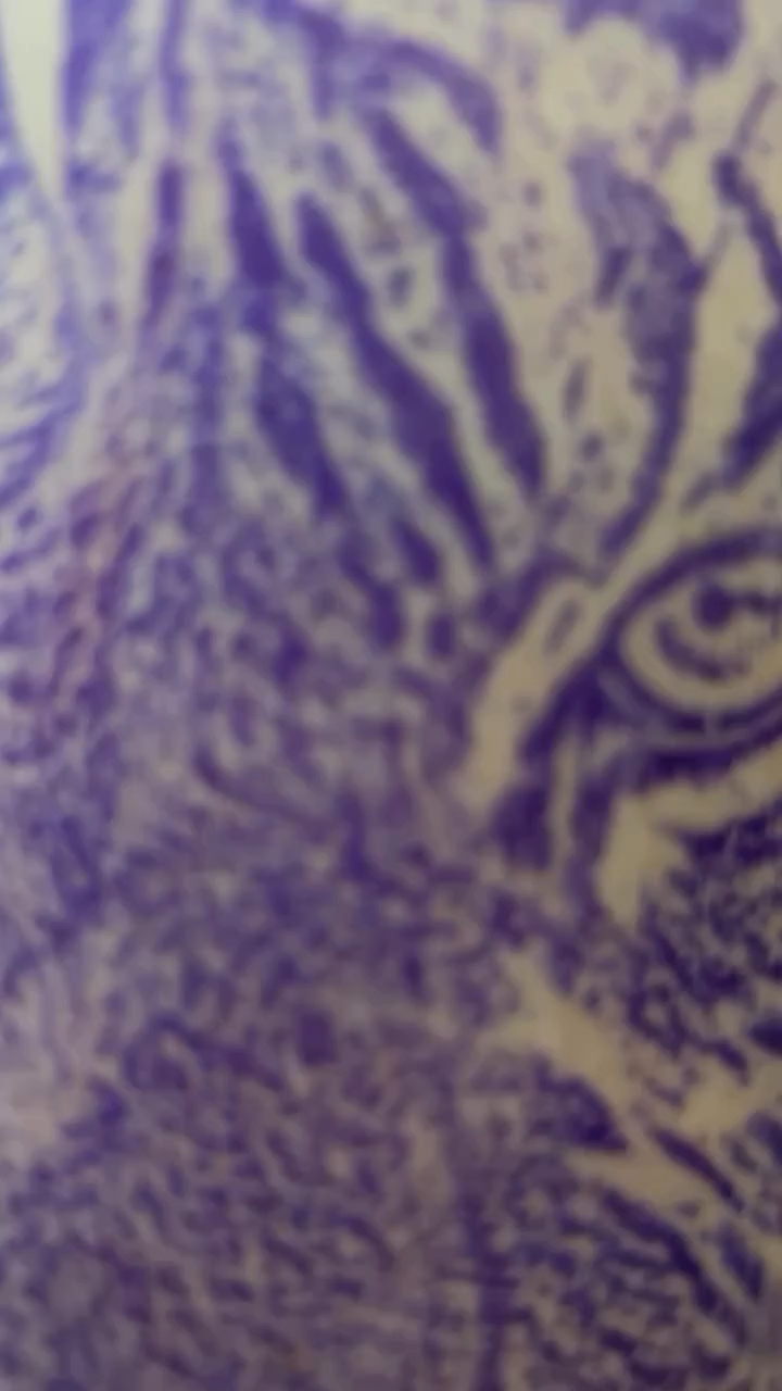 北京纹身/男生手臂写实老虎纹身