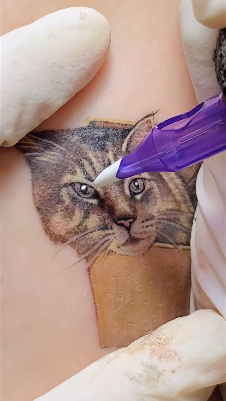 北京纹身/女生手臂猫咪纹身