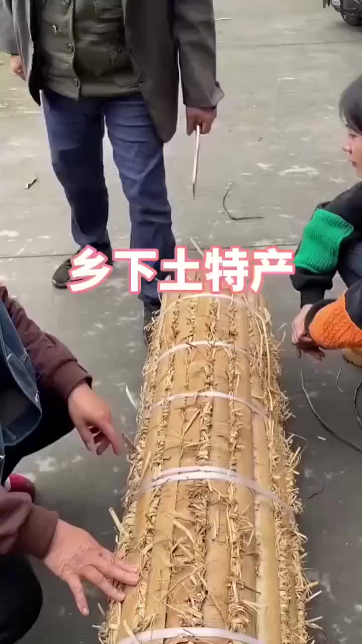 大白菜叶子凉干后也不是这个样子啊?到底是什么东西?. .