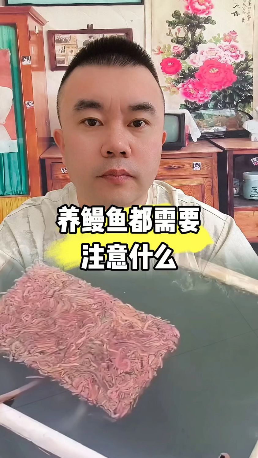 养鳗鱼都需要注意什么