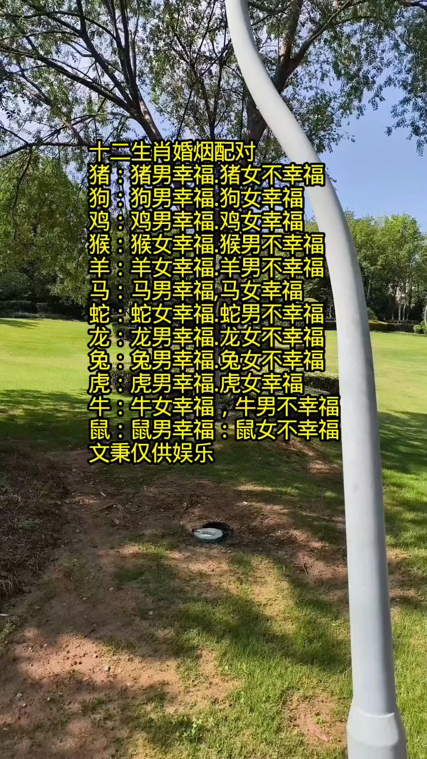 十二生肖婚姻配对