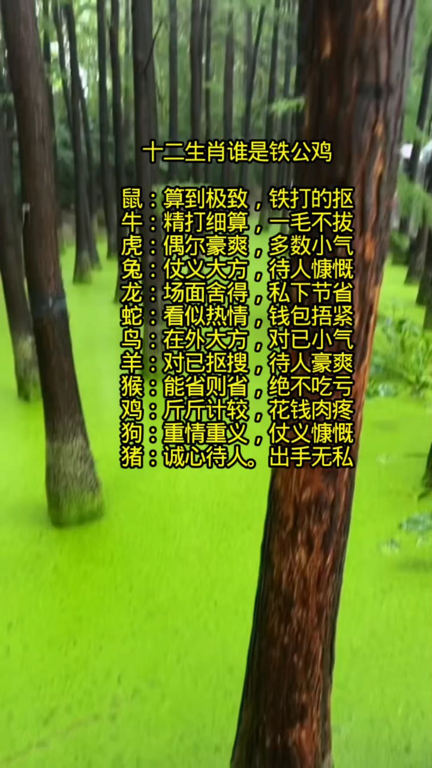 十二生肖谁是铁公鸡