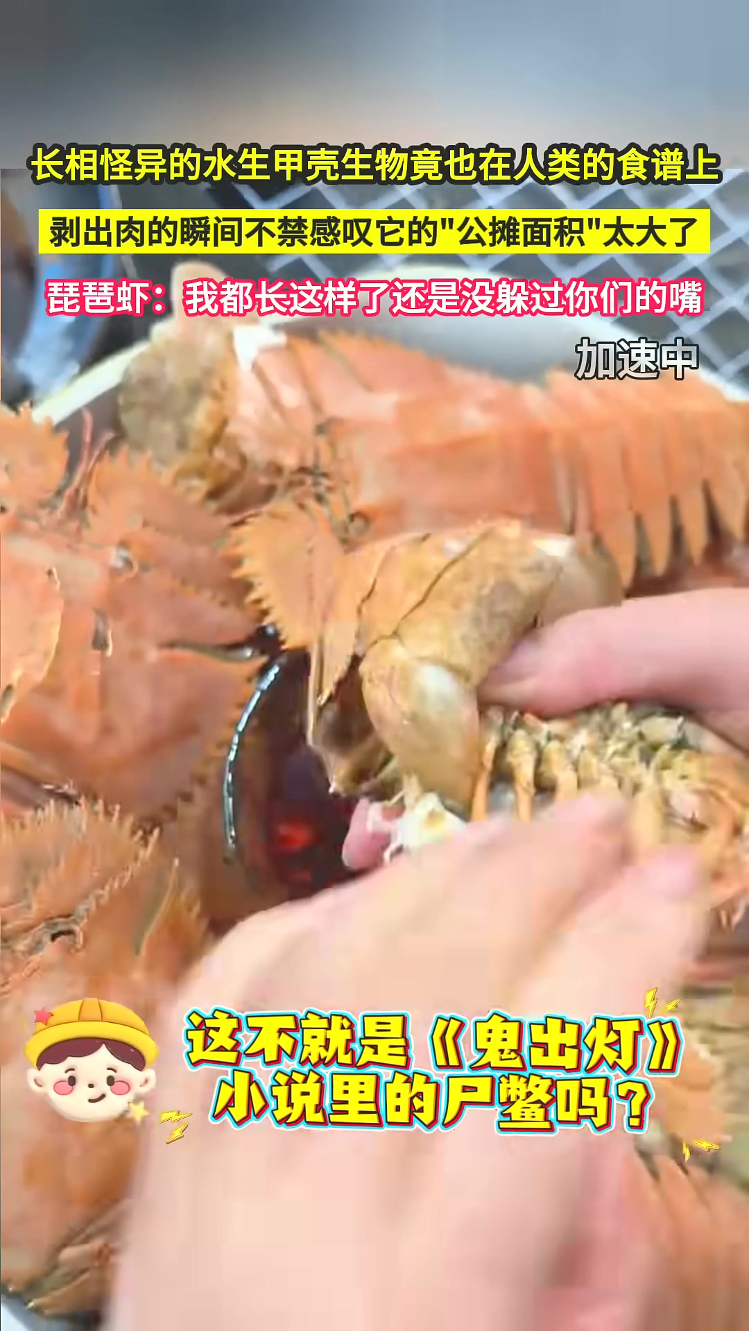 长相奇异海鲜竟上餐桌，剥开瞬间肉少皮多，琵琶虾无奈被吃