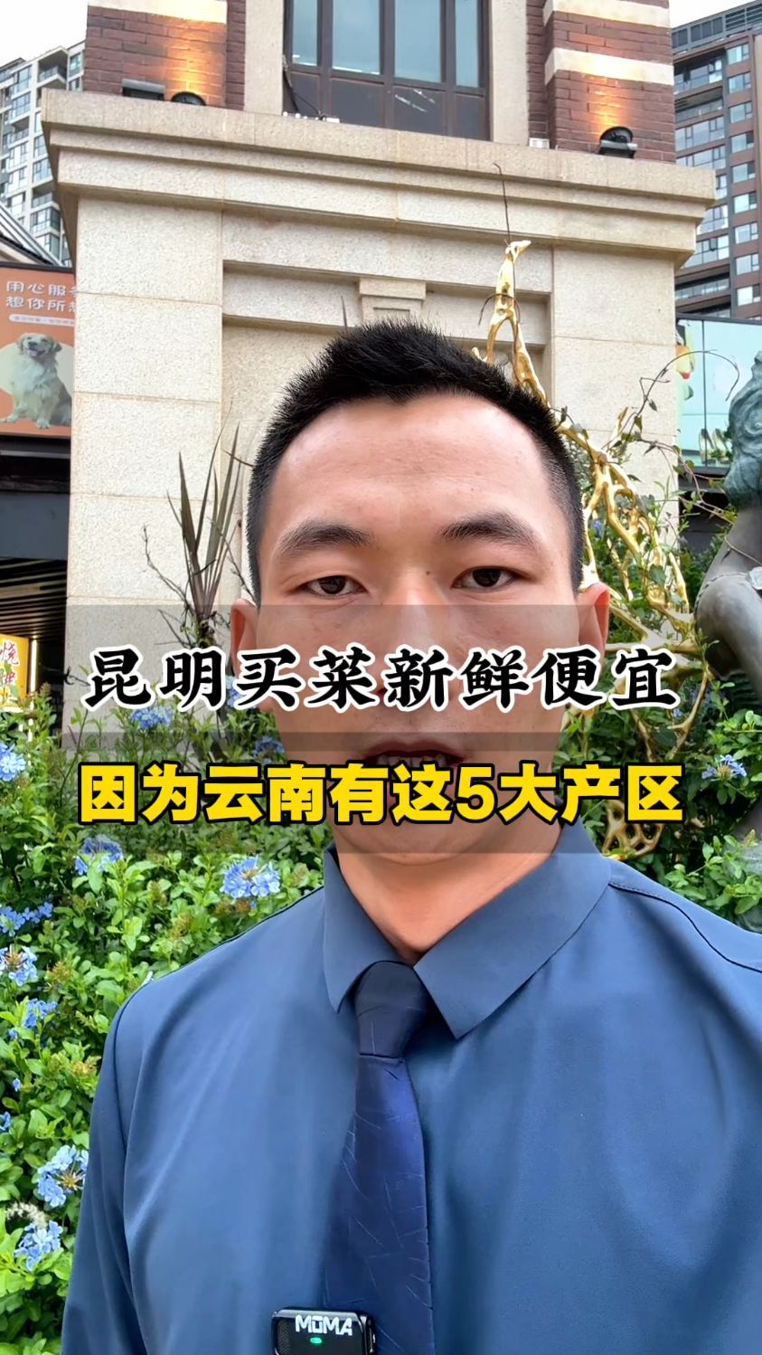 很多外省朋友来了才发现,在昆明生活成本低,蔬菜新鲜品种又多!