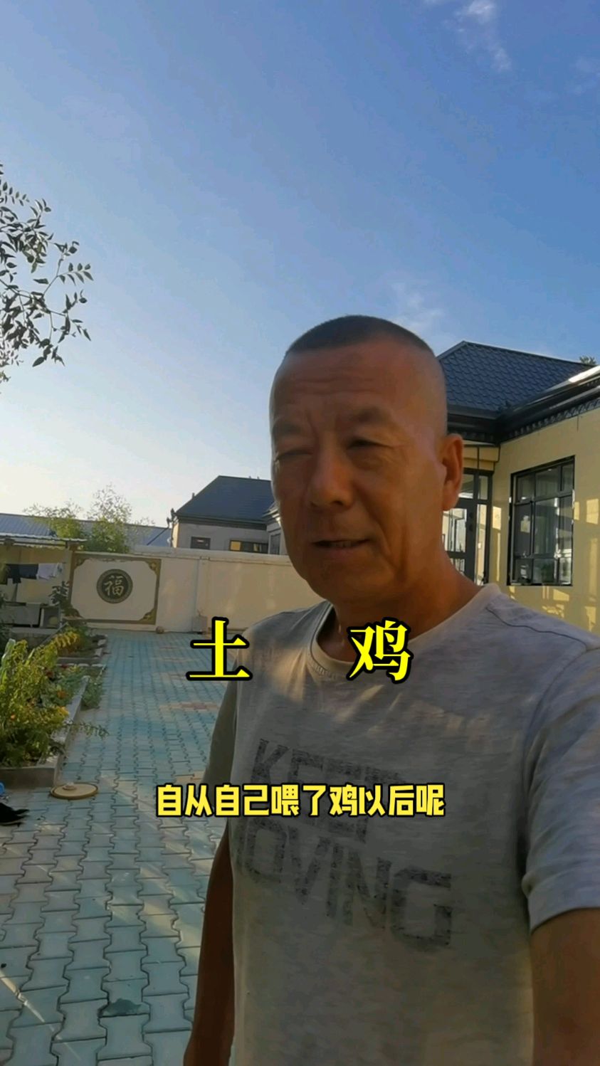 根本没有传统意义上的土鸡，有的只是土喂法