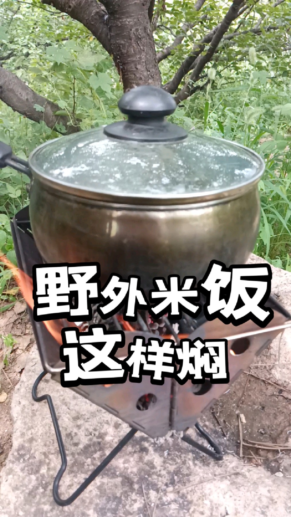 在野外米饭要这样焖