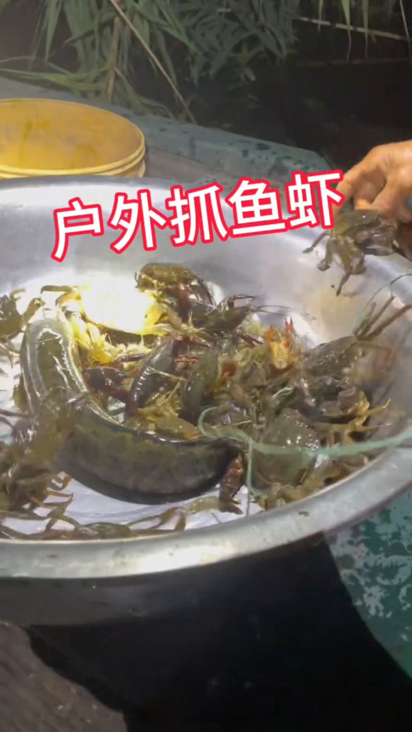 户外抓鱼虾蟹如何抓的多小技巧