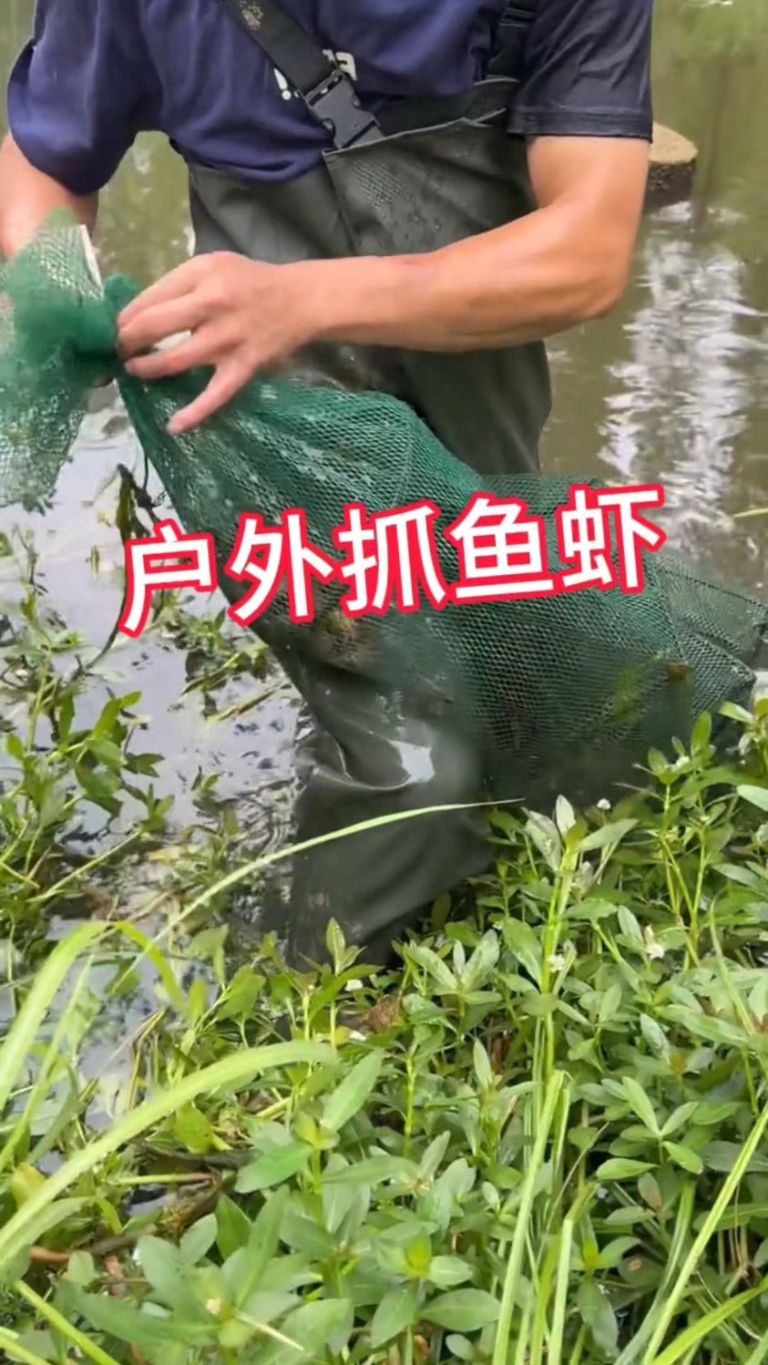 户外抓鱼虾蟹如何抓的多小技巧