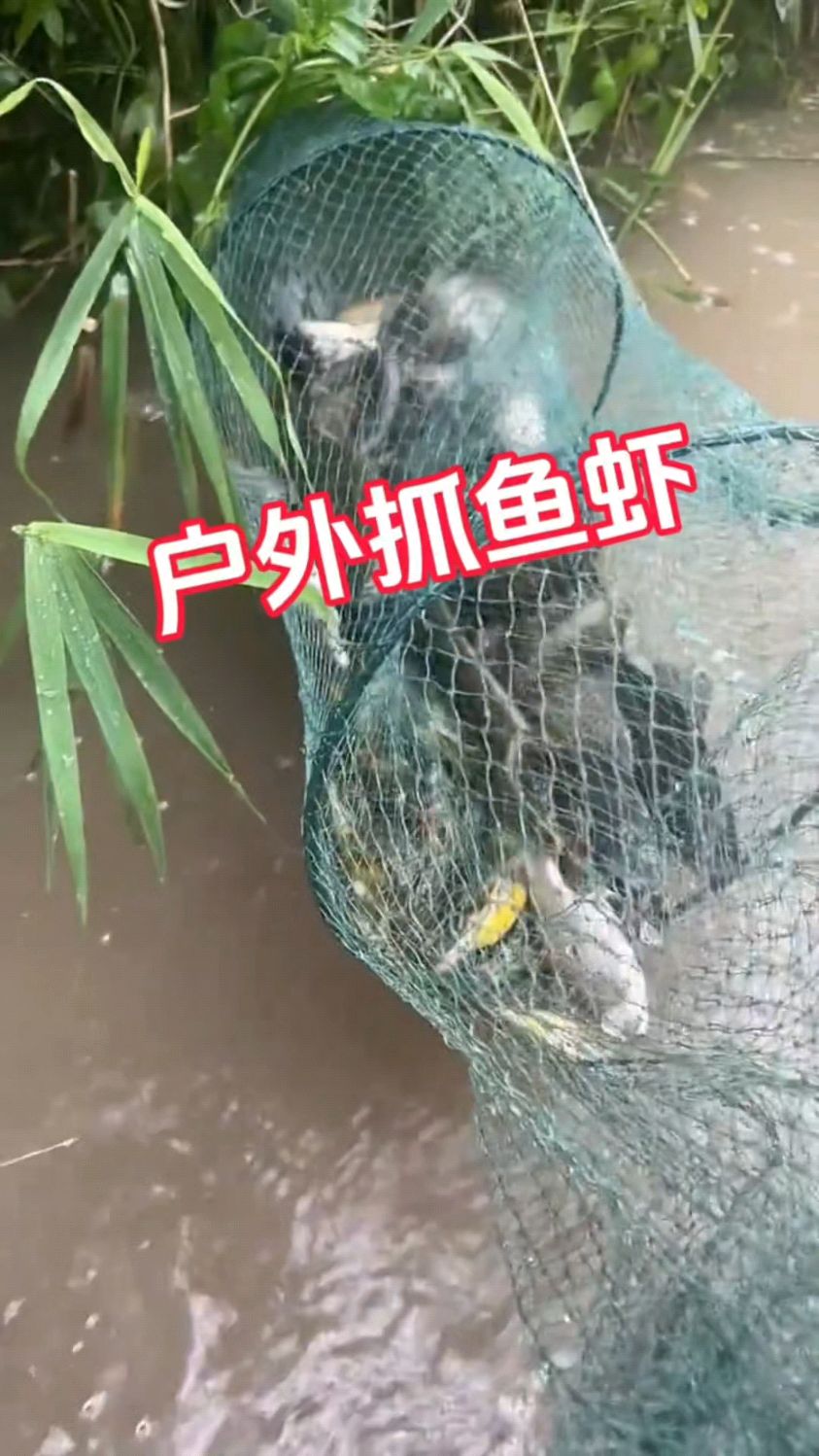 户外抓鱼虾蟹小技巧