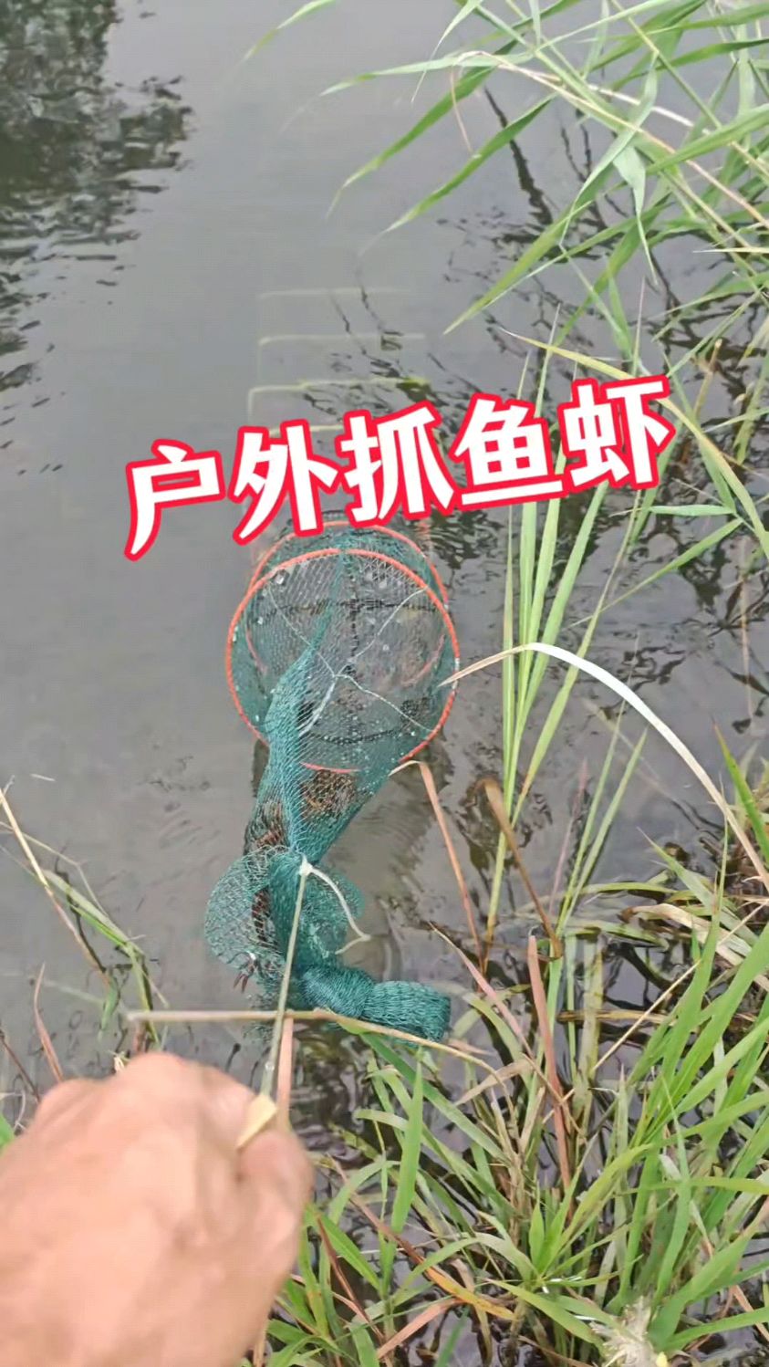 户外抓鱼虾蟹如何抓的多小技巧