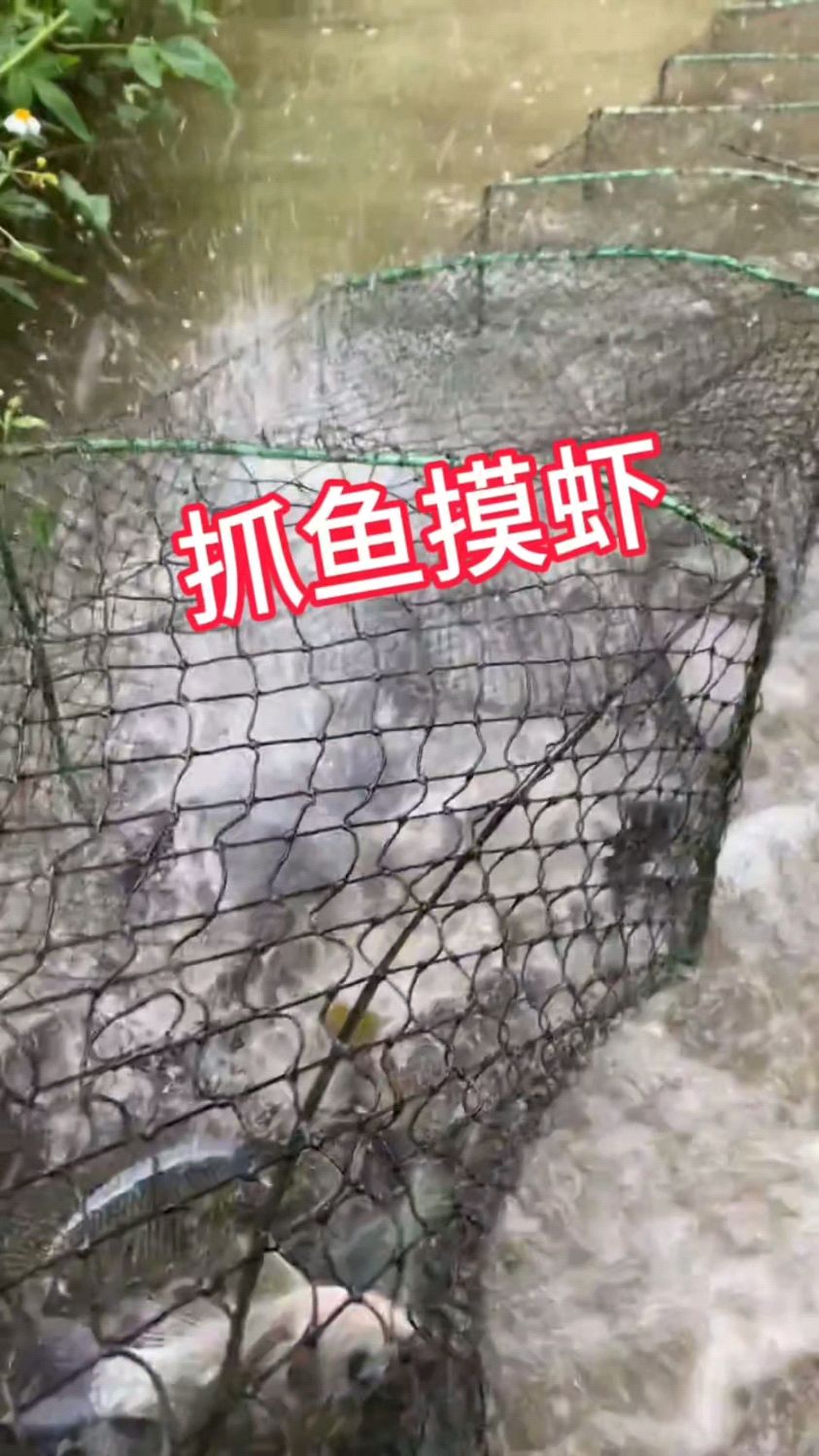 户外抓鱼虾蟹如何抓的多小技巧