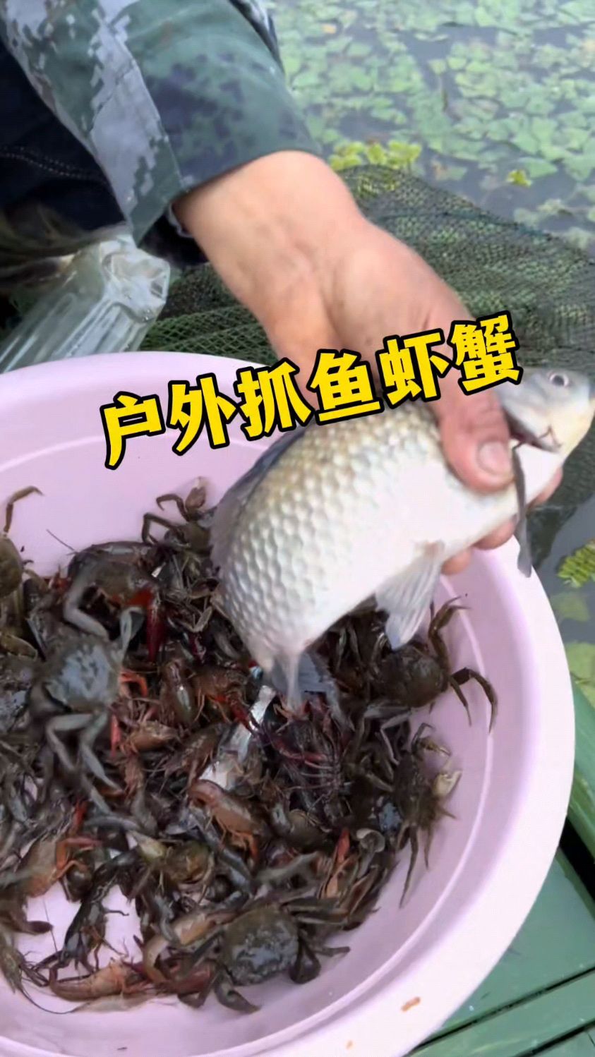户外抓鱼虾蟹爆笼小技巧