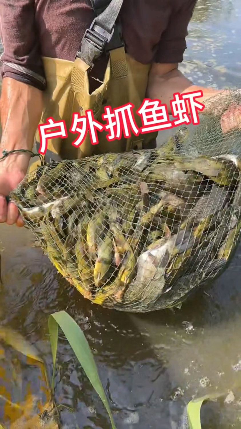 户外抓鱼虾蟹如何抓的多小技巧