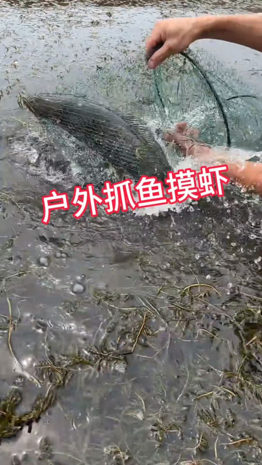 户外抓鱼虾蟹如何抓的多小技巧