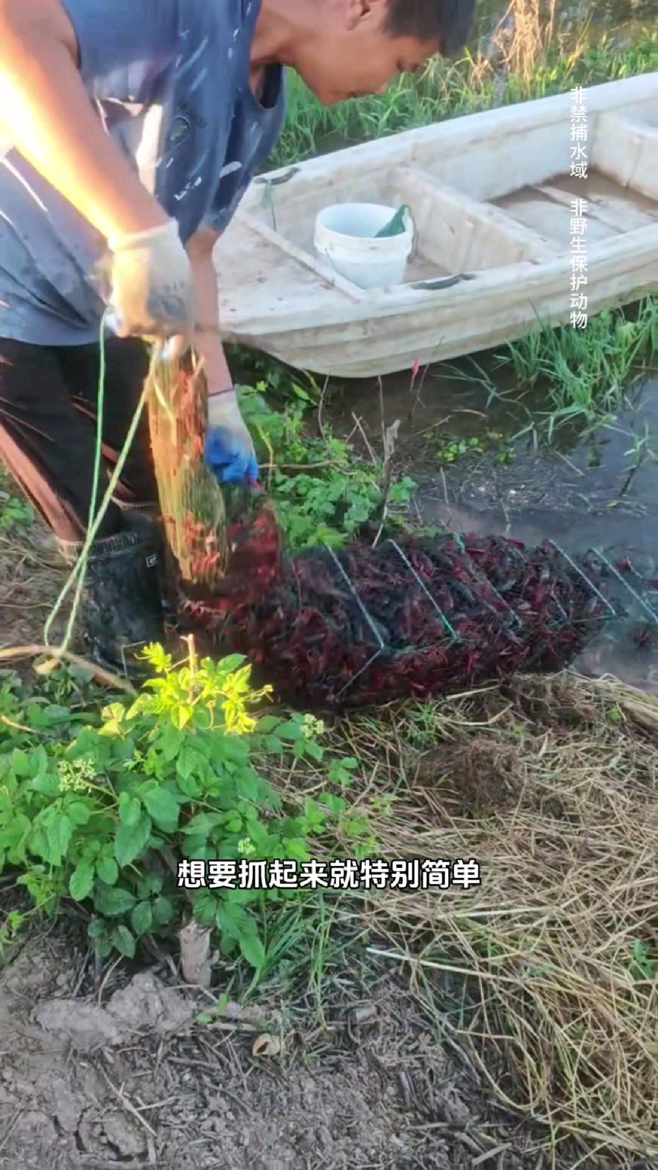 户外抓鱼虾蟹如何抓的多小技巧