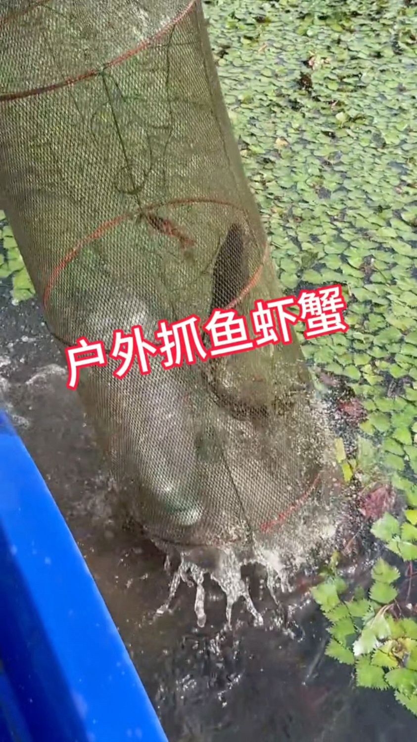 户外抓鱼虾蟹甲鱼爆笼小技巧