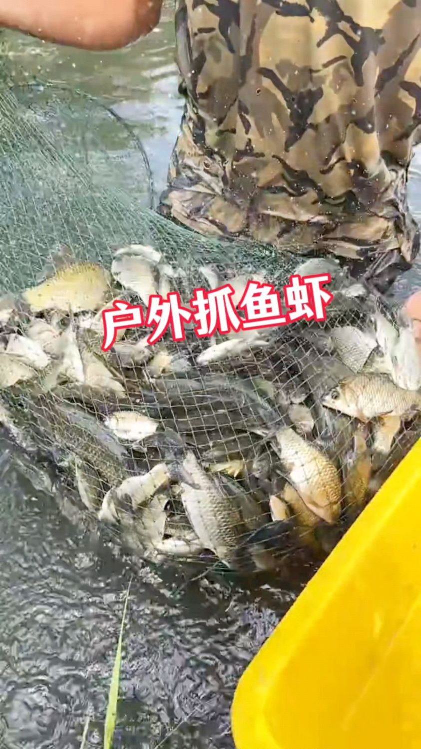 户外抓鱼虾蟹爆笼小技巧你知道吗