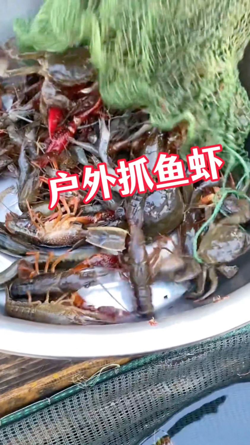 户外抓鱼虾蟹爆笼小技巧