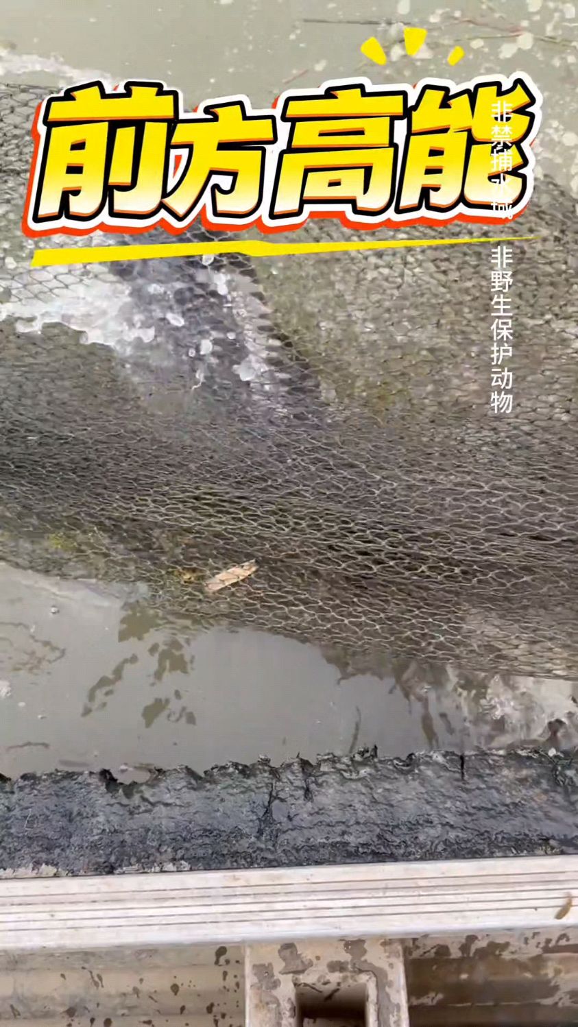 户外抓鱼虾蟹，如何抓的多小技巧