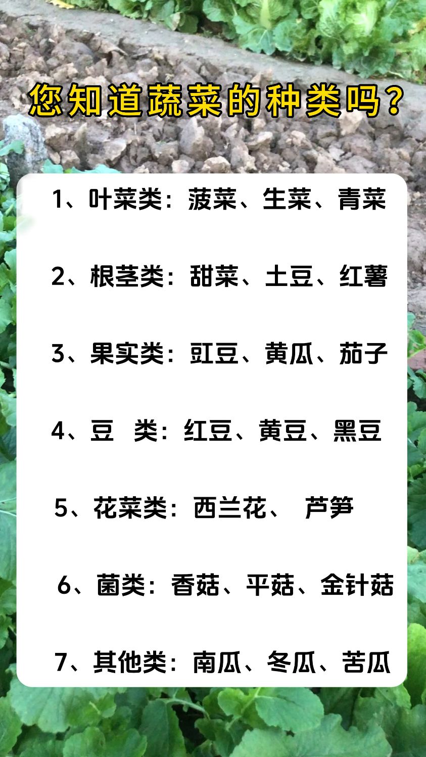 您知道蔬菜的种类吗?