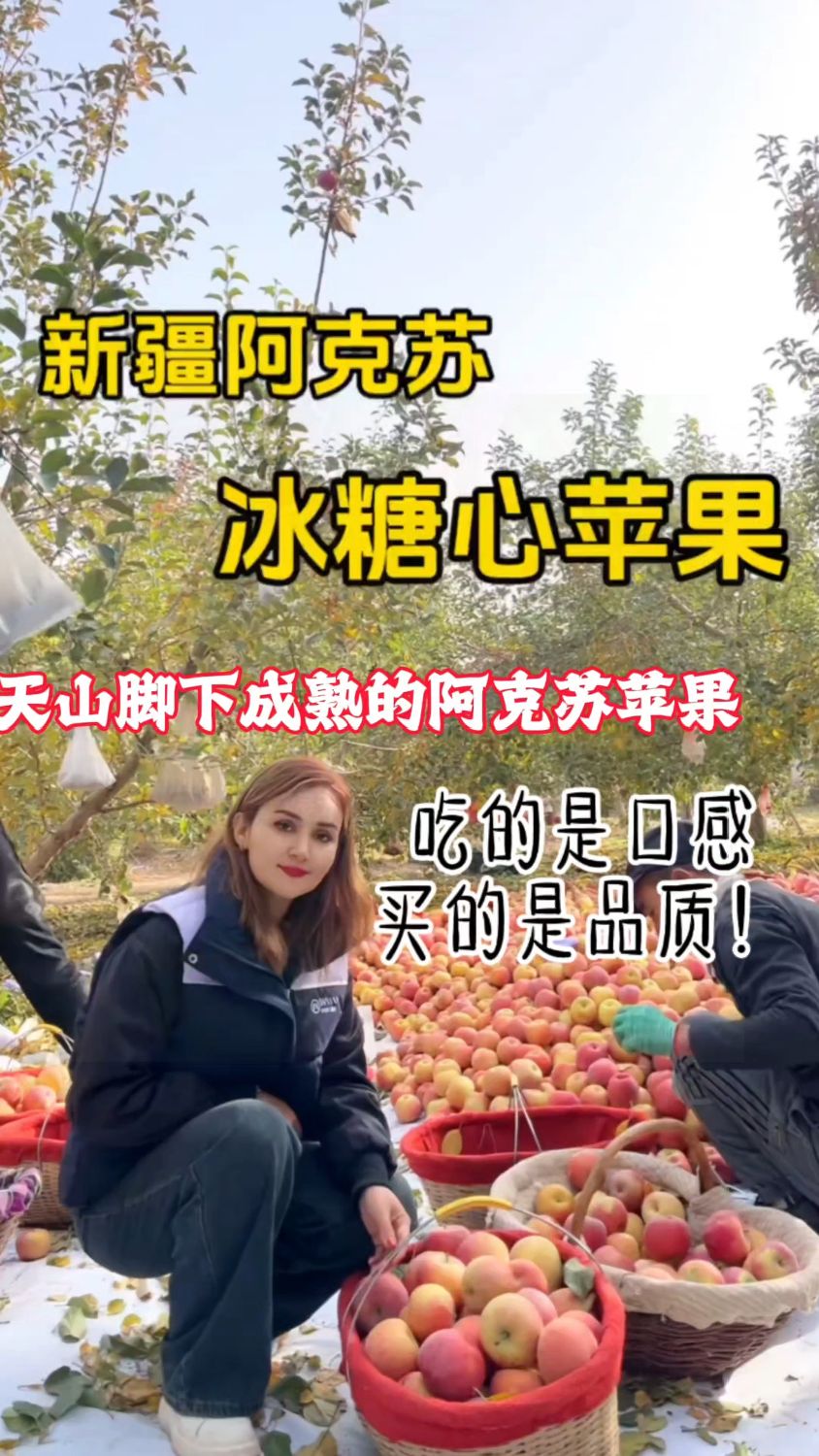 没吃过阿克苏的朋友们,如果您爱吃苹果,一定要试一试