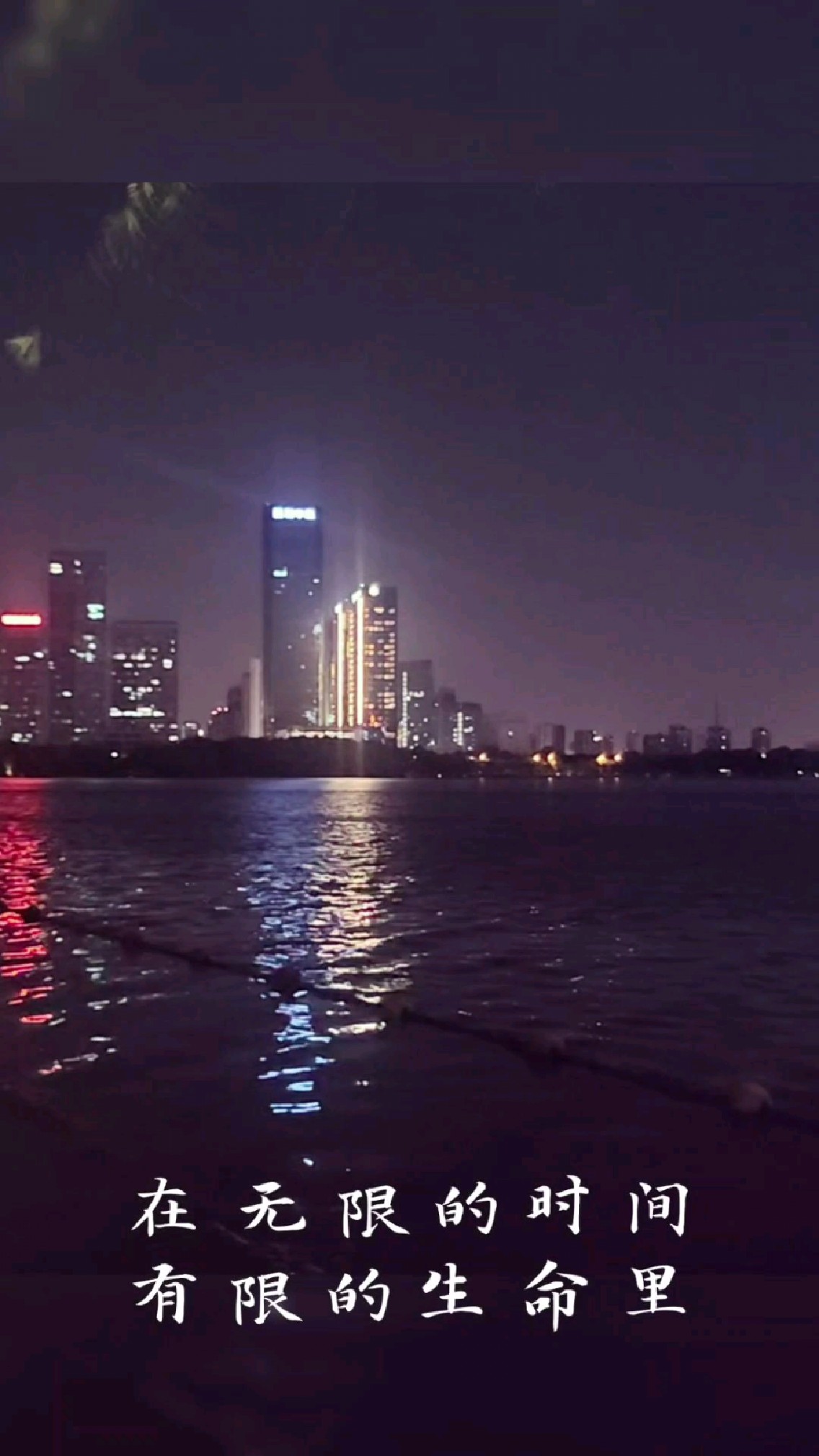 完整版的合肥天鹅湖夜色,真的美不胜收。