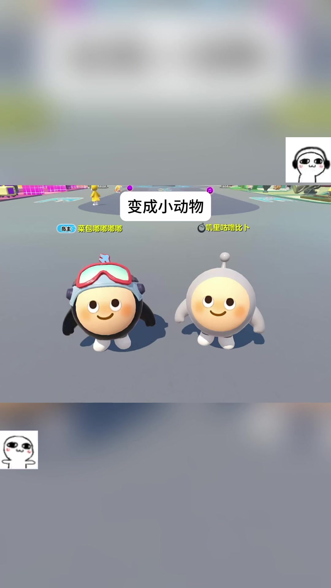 是小菜包鸭！！！