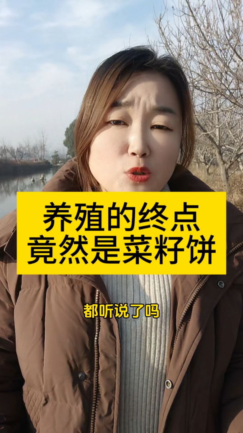 养殖的终点竟然是菜籽饼菜籽饼在水产养殖中的作用