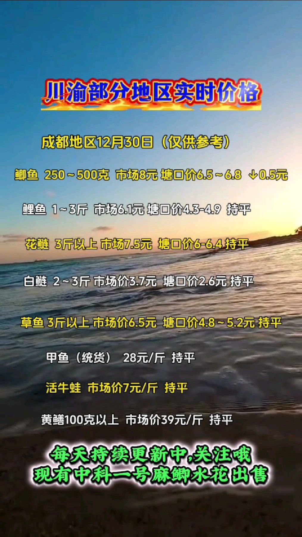 今日成都水产鱼价12月30日