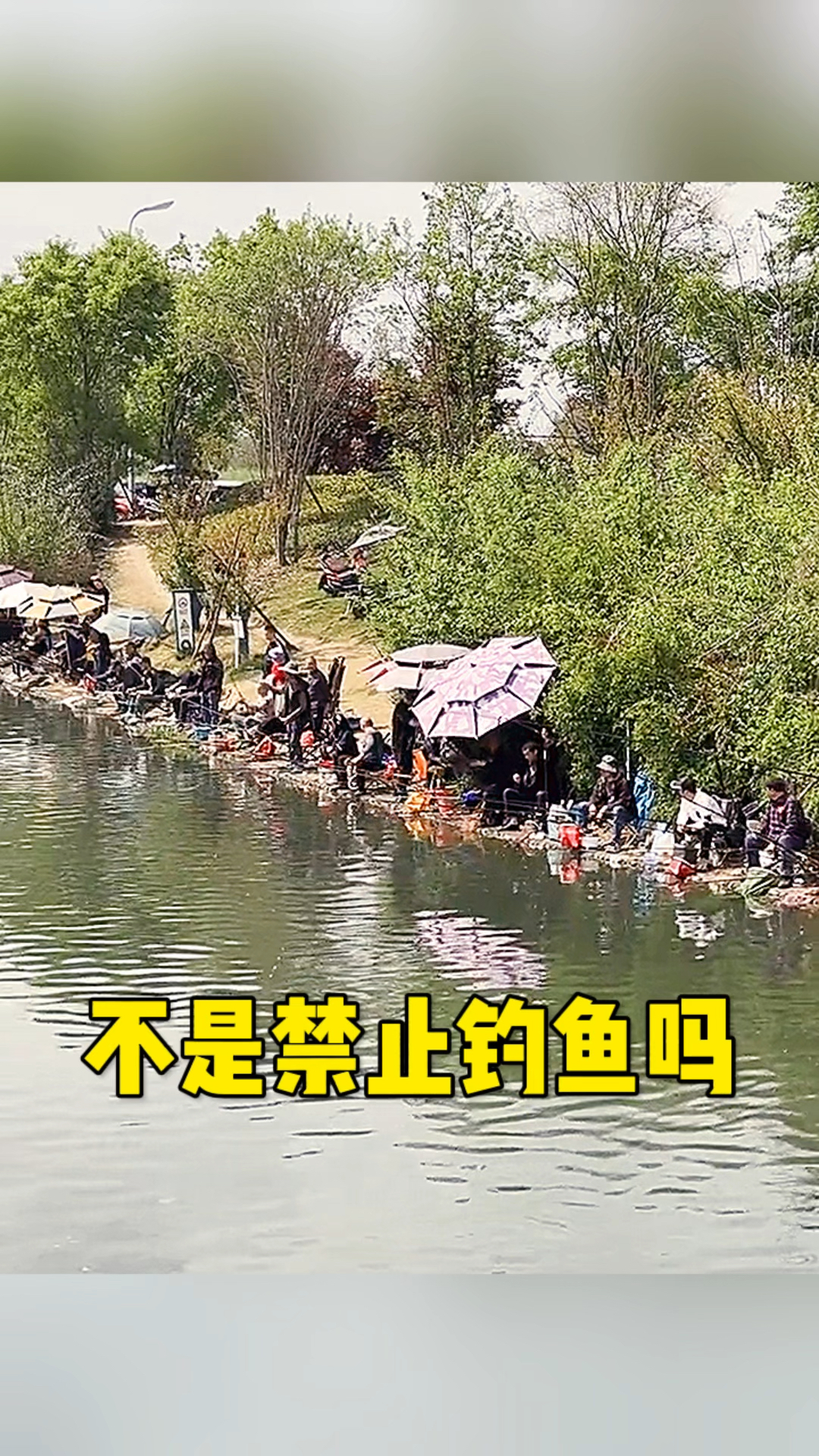这里不是禁止钓鱼吗