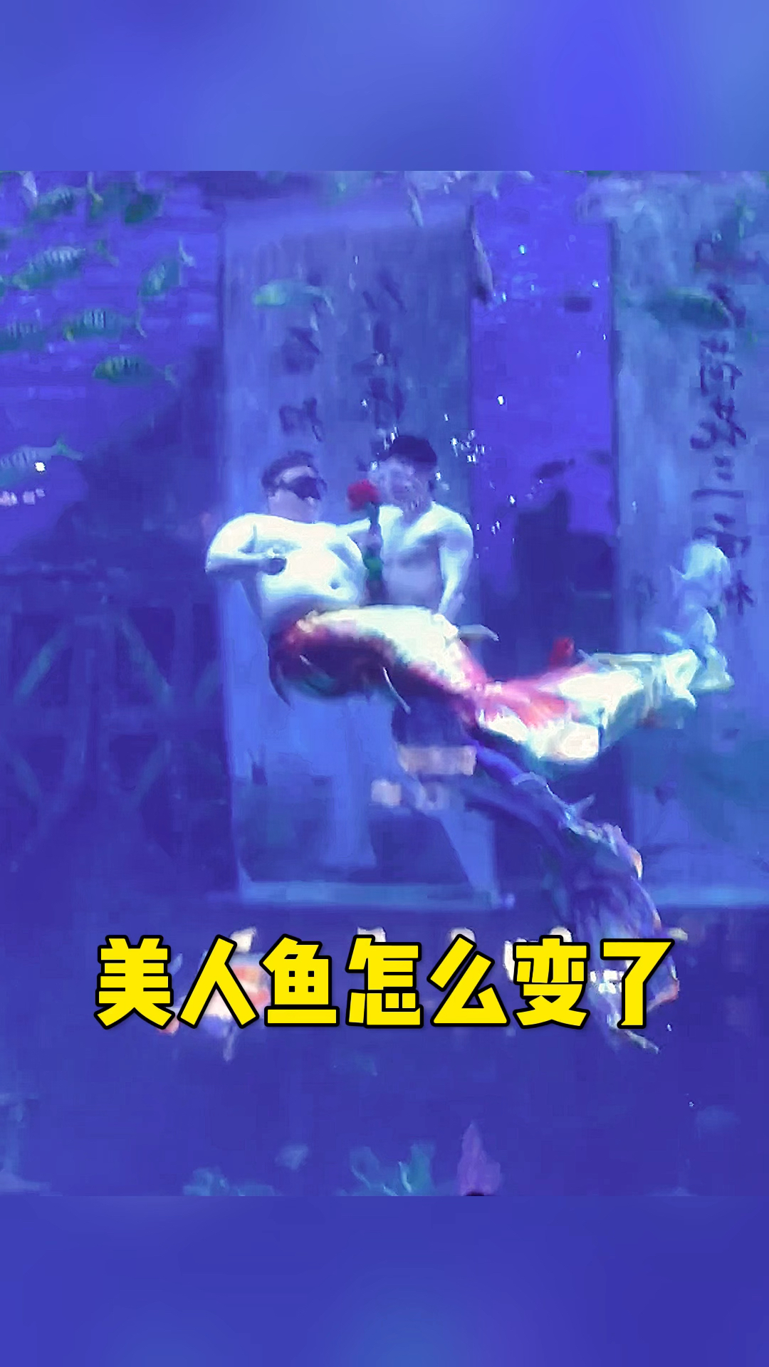 美人鱼怎么长这样呀
