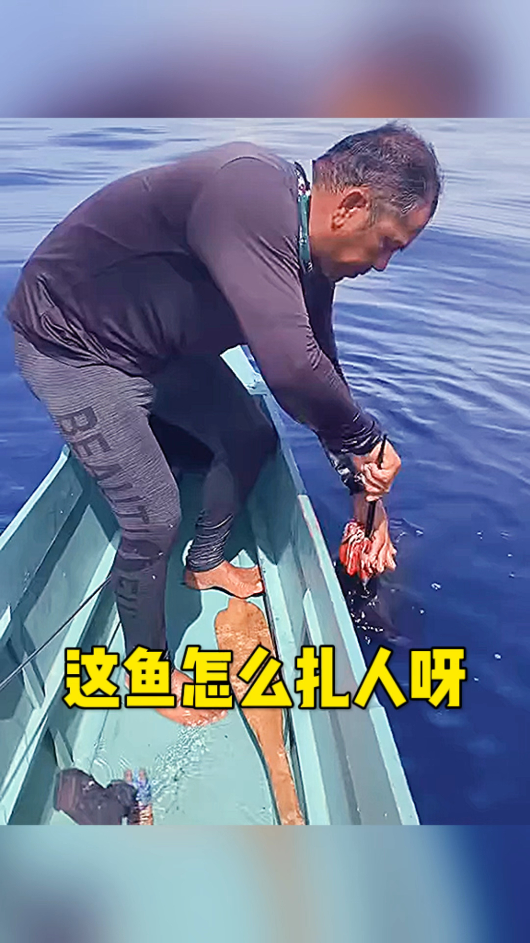 这条鱼嘴巴有点长