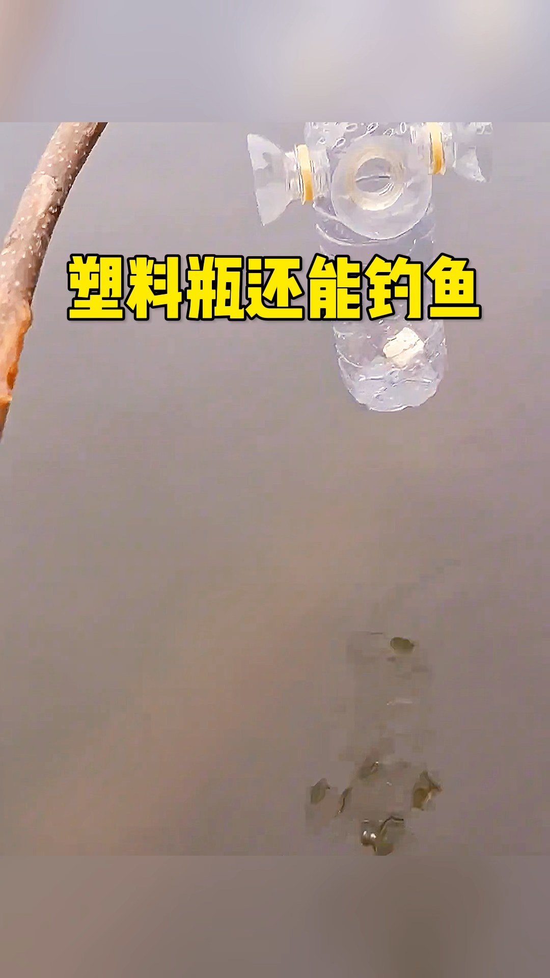 这塑料瓶还能钓鱼呢
