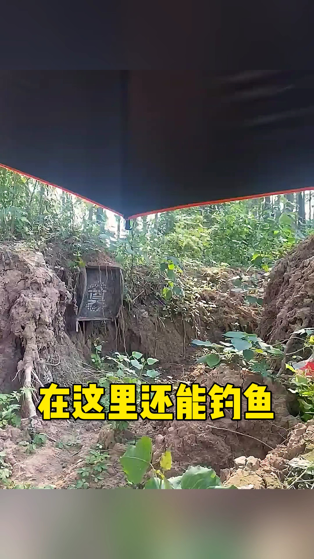 在这里还能钓鱼呢