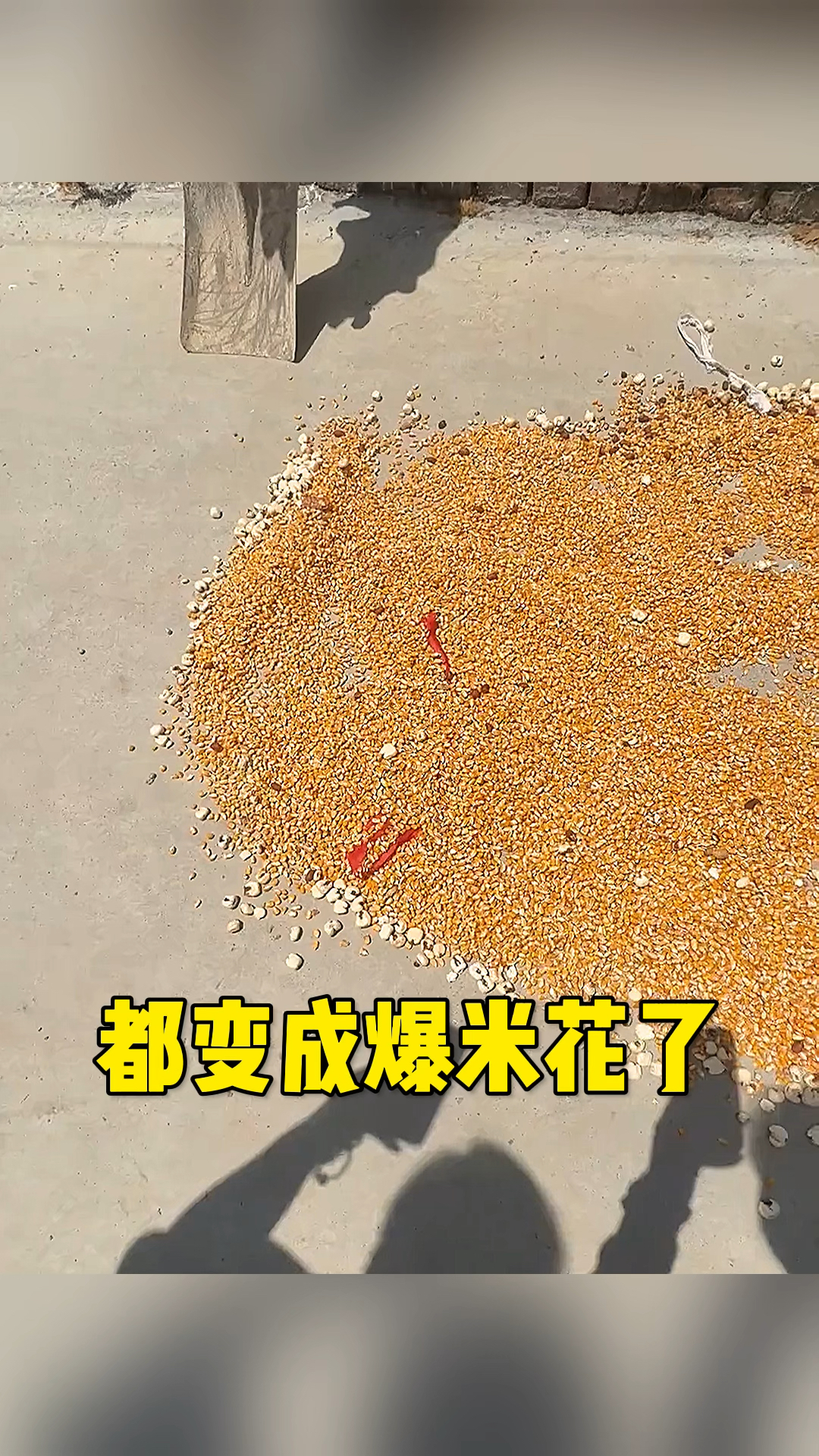 怎么都变成爆米花了