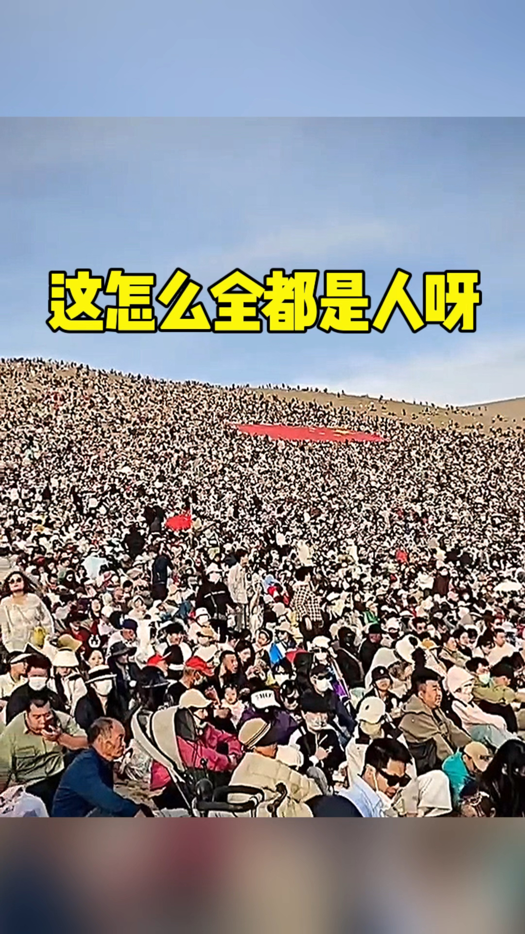 这里怎么全都是人呀