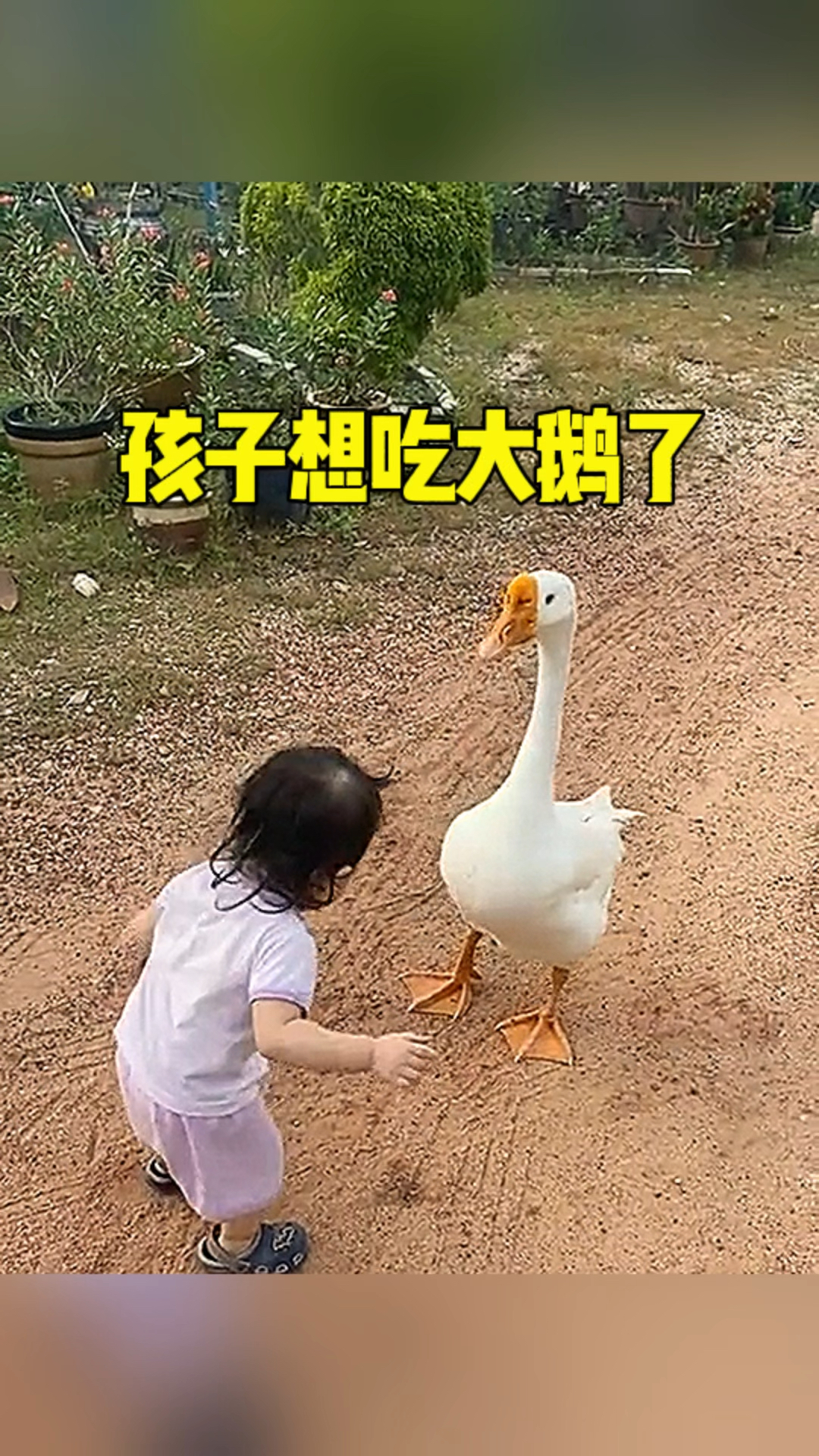 孩子想吃大鹅了吧
